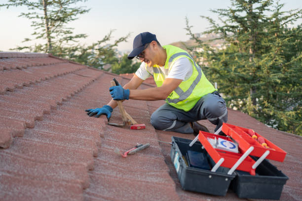 Gutter Installation and Roofing in Jerome, IL